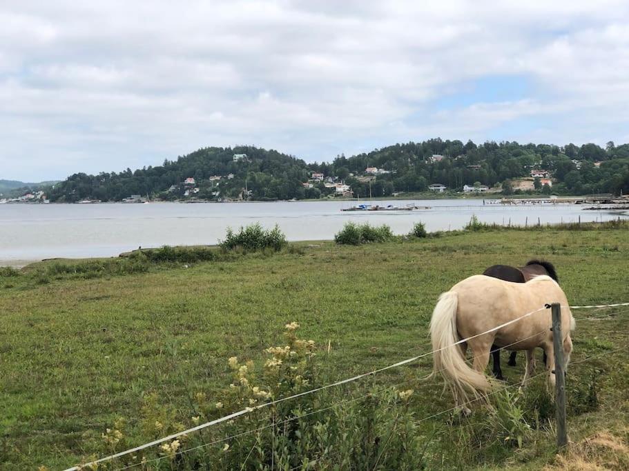 Apartment Right Next To The Golf Course And With The Ocean Just Around The Corner Ljungskile Luaran gambar